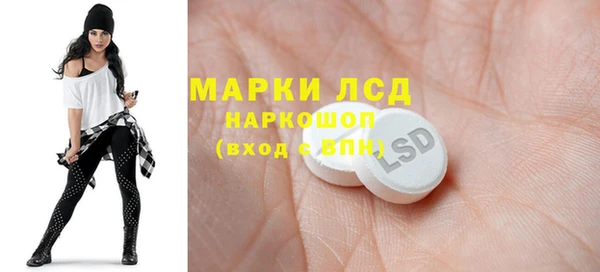 spice Бородино
