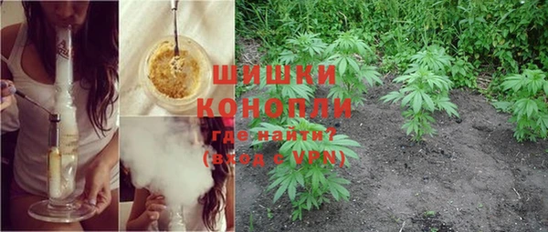 шишки Бугульма