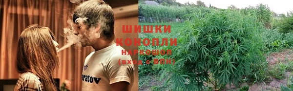 шишки Бугульма