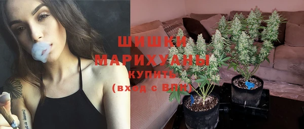 apvp Богородицк